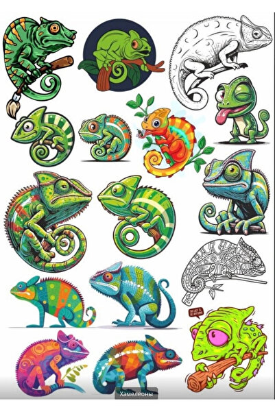 Reysa Tasarım مجموعة ملصقات الحرباء 2 - أنيقة ومفيدة