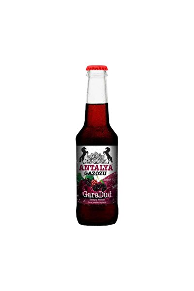 Gazozluk 4*6 Antalya Garadud 250 ml