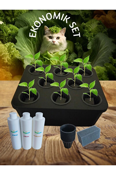 TarımSuda Topraksız Tarım Ekonomik Set Siyah Hidroponik Set Suda Tarım Hobi Seti