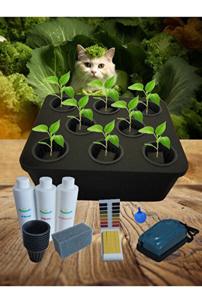 TarımSuda Topraksız Tarım Mini Set Siyah Hidroponik Set Suda Tarım Hobi Seti