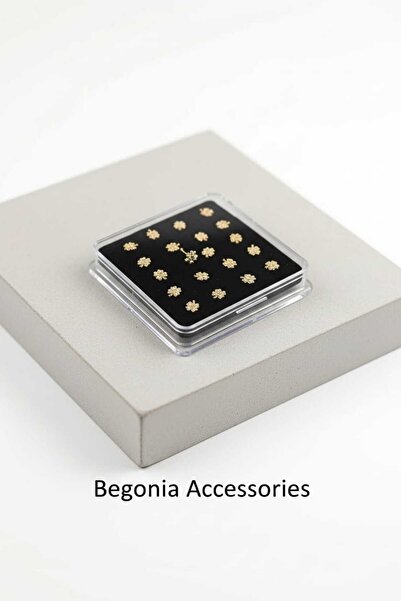 Begonia Accessories 925 Ayar Gold Gümüş Zirkon Taşlı 4 Yaprak Yonca Hızma 1 Adet