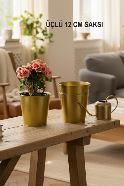 EVSTYLE 3'LÜ DEKORATİF GOLD SAKSI - 12 CM