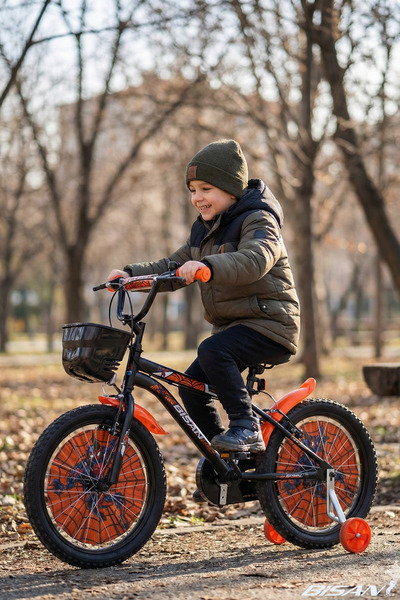 Bisan Spark 20 Jant Çocuk Bisikleti Çelik Kadro 30 cm V-Fren Vitessiz Mat Siy...