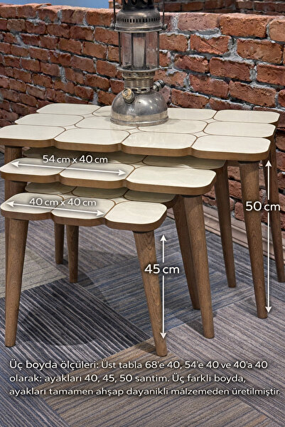 SARA Mosaic Organik Zigon Sehpa Seti | Ahşap Ayaklı Modern Tasarım | 3’lü Zig...