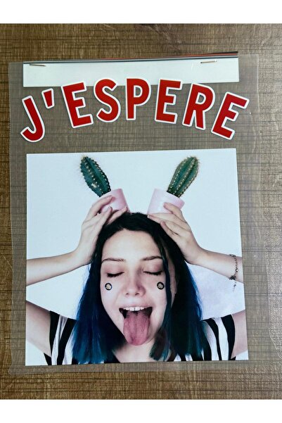 Gönülden Tasarım 23x17 Cm Ütü İle Yapışan Kaktüs Kulaklı Transfer Baskı Arma