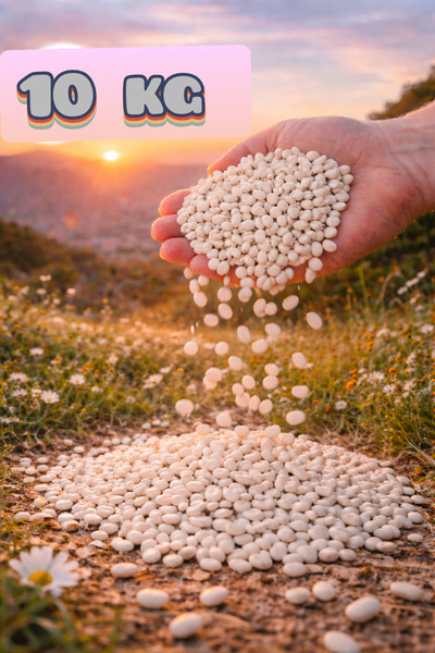 irfan bakliyat Kuru Fasulye 10 Kg ( Köy Mahsulu ) (KATKISIZ, DOĞAL)