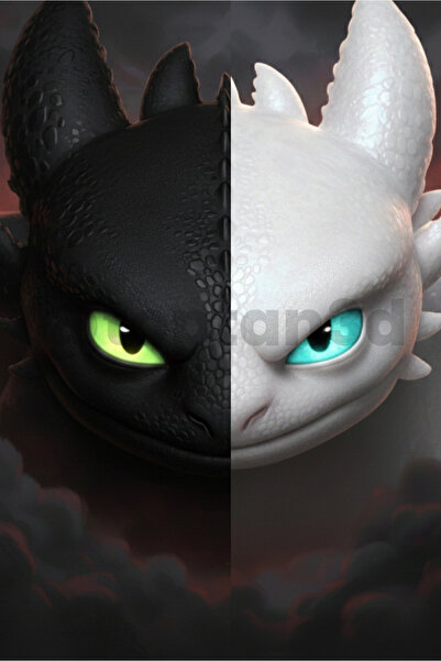 Toptan3D (İkili Paket) (Mega Boy) Ejderhanı nasıl Eğitirsin? Gecenin Öfkesi &...