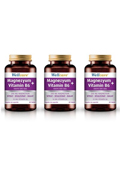 Wellcare Magnezyum Vitamin B6 60 Tablet 3 Adet