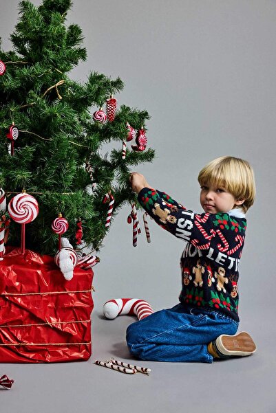 DeFacto Baby Boy Christmas Themed Knitwear Sweater F2588A525Wn