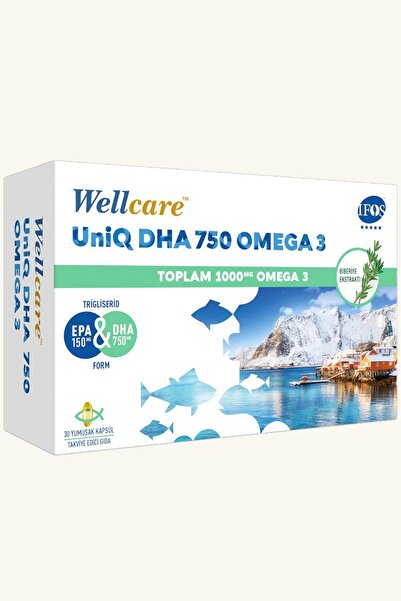 Seddar Collection Wellcare Omega 3 Balık Yağı 750 mg 30 Kapsül