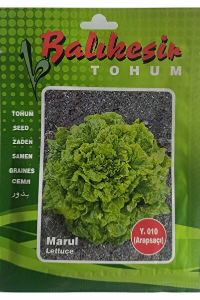 MARUL TOHUMU 10 gr