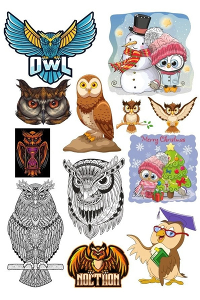 Reysa Tasarım مجموعة ملصقات البومة البومة مكونة من 11 قطعة للهاتف والكمبيوتر ...