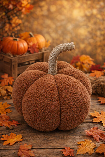 zabonti home Dekoratif Kabak Kahverengi Tedyy Büyük Boy Balkabağı