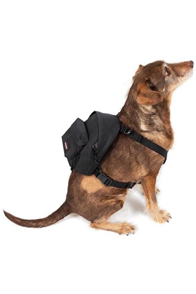 Eastpak Σακίδιο πλάτης Dog Pak'r Dog σε μαύρο χρώμα