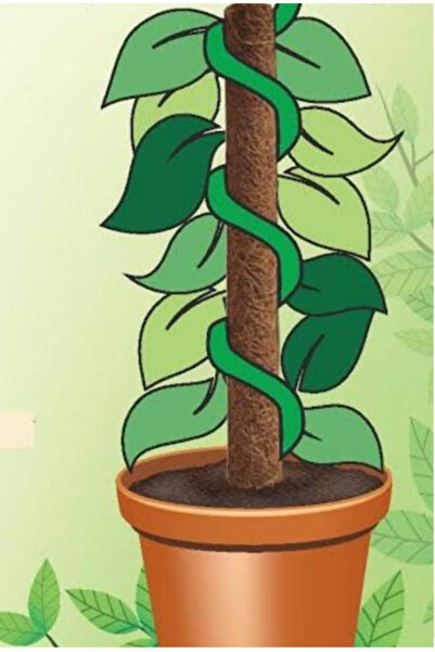 iç mekan bitkicisi Bitki Destek Çubuğu (YOSUN SOPASI) 60cm