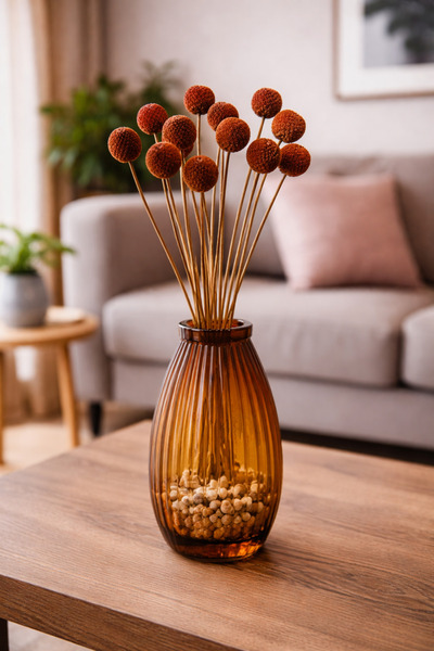 ÇINARASYADAHOME باقة زهور كراسبيديا بنية اللون 18-20 فرعًا، زهور طبيعية جافة ...