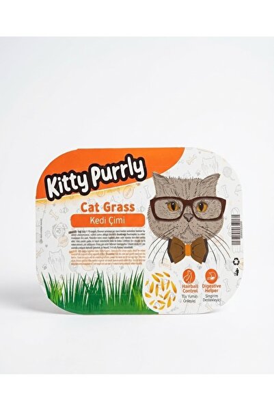 Kedi Çimi (Cat Grass) – Hazır Set, Sindirim ve Tüy Yumağı Destekleyici