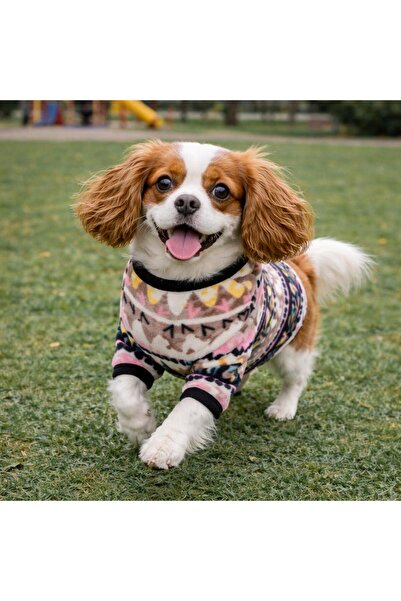 GedyCo Mixed Polar Medium Breed Dog Sweatshirt (Suitable for dogs from 8 kg t...