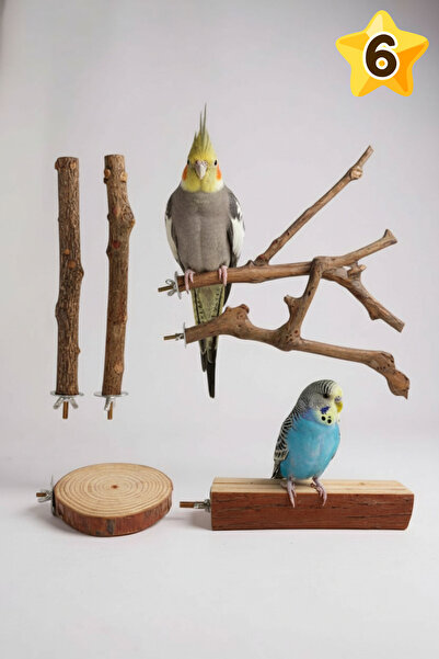 Alyones Kuş Tünek Seti – 6 Parça Ahşap Tünek, Papağan Standı ve Oyuncaklar, M...