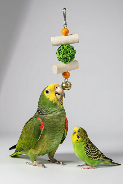 Alyones Rattan Toplu Kuş Oyuncağı | Doğal Ahşap ve Hasır Toplu Kuş Aktivite O...