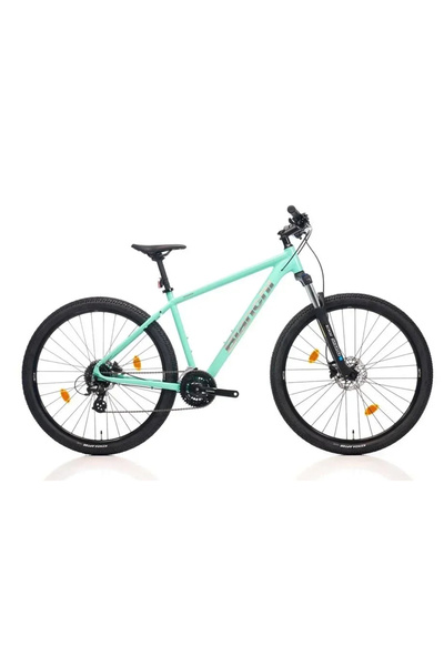 Bianchi Magma 29.1 Erkek Dağ Bisikleti 530h Hd 29 Jant 24 Vites Altus Ck16 Ce...