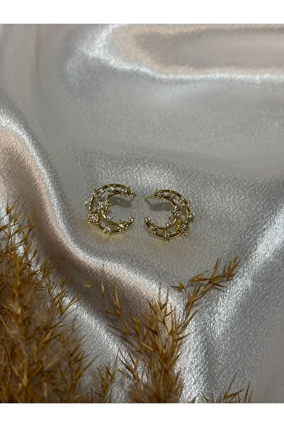 stainless steell Star Detailed Moon Shape Steel Earrings