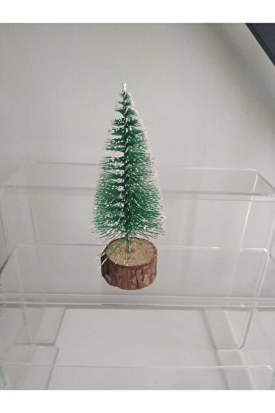 Ayla Güven mini çam ağacı 10cm