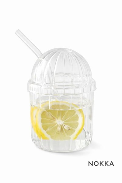 NOKKA Borosilicate Glass with Straw and Glass Lid, Heat Resistant, Coffee Cup, 450 ml
