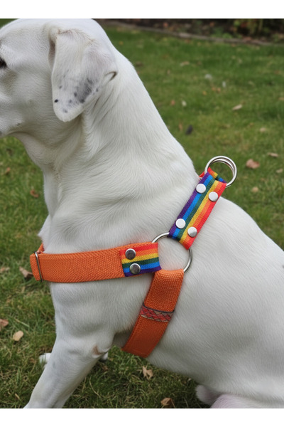 balkonda Dog Collar Medium and Large Breed Adjustable Column Cord Orange & Rainbow