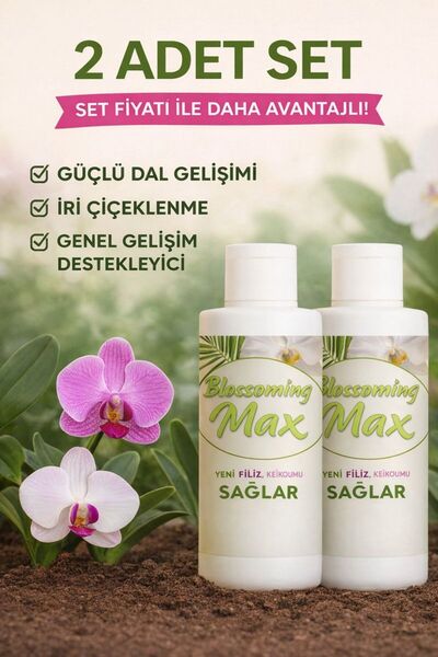 BlossomingMax 2 Adet Dal ve Çiçek Destekleyici Premium Besin 100 ml – Güçlü D...