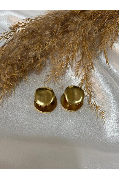 stainless steell Double-Looking Plate Steel Earrings