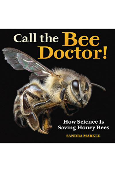 Millbrook Pr Cheamă doctorul apicultor!: Cum salvează știința albinele melifere