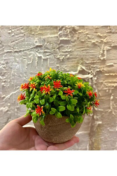 FB Cup Μοντέρνα Τεχνητή Σύνθεση Πορτοκαλί Ανοιξιάτικης Αύρας (13 εκ. x 17 εκ.)