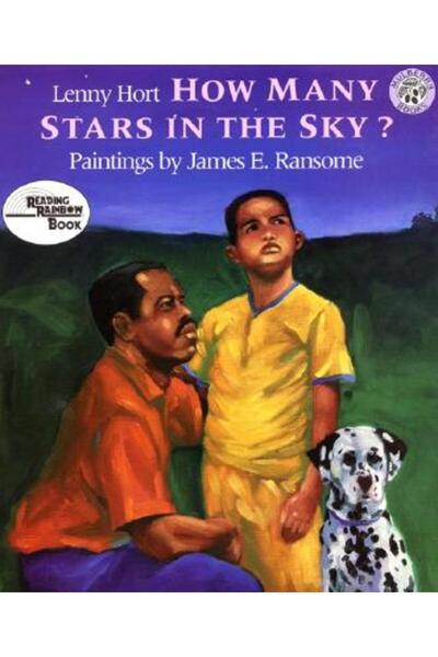 Mulberry Books Câte stele sunt pe cer?