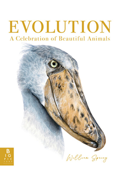 Big Picture Pr Evoluție: O celebrare a animalelor frumoase