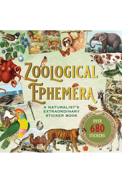 Peter Pauper Carte de stickere cu obiecte zoologice efemere (peste 750 de sti...