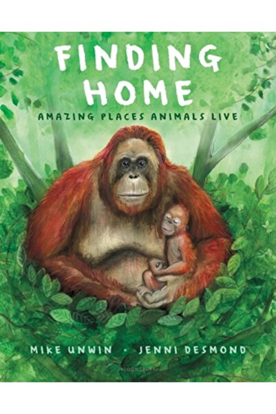 Bloomsbury Găsirea unui cămin: Locuri uimitoare în care trăiesc animalele