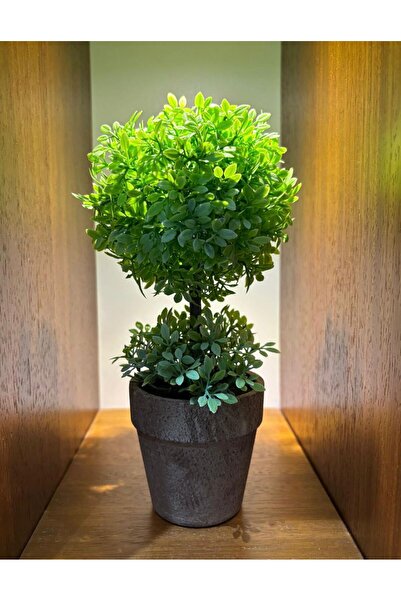 FB Cup تنسيق شجرة الزمرد الأخضر المزدوجة (24 سم × 10 سم)