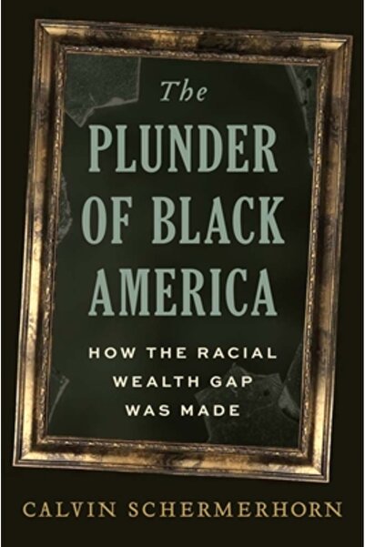 Yale Univ Pr Jafurile Americii Afro-Americane: Cum s-a format decalajul rasial al bogăției