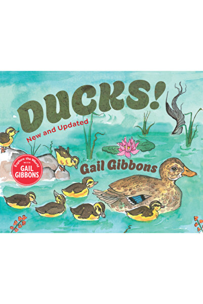 Holiday House Inc Rațe! (Nou și actualizat)