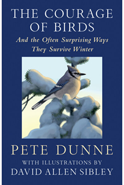 Chelsea Green Pub Curajul păsărilor: și modurile adesea surprinzătoare în car...