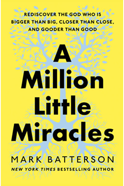 Multnomah Pr A Million Little Miracles: Rediscover the God Who Is Bigger Than...
