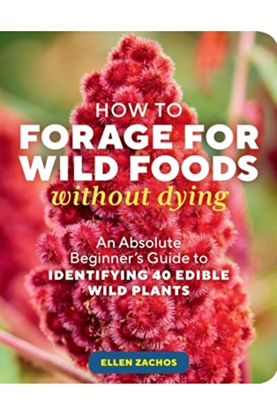 Storey Pub Cum să cauți alimente sălbatice fără să mori: Un ghid absolut pent...