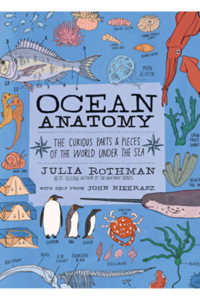 Storey Pub Anatomia oceanului: Părți și fragmente curioase ale lumii de sub mări