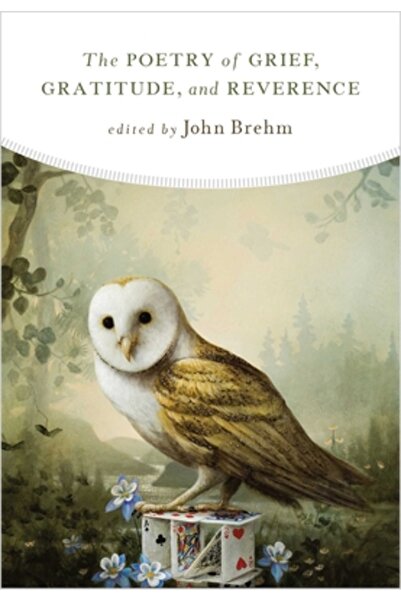 Wisdom Pubn Poezia durerii, recunoștinței și respectului