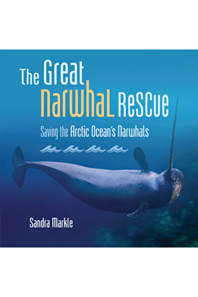 Millbrook Pr Marea salvare a narvalilor: Salvarea narvalilor din Oceanul Arctic
