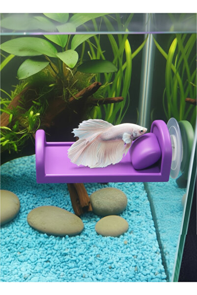 MD×HOA Beta Dinlenme Alanı ⬢ Mini Yastıklı Yatak ⬢ Mor ⬢ Beta Halfmoon , Dişi...