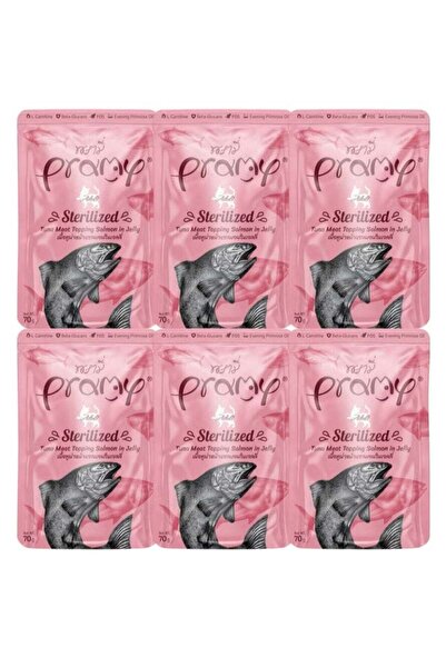 BRAMİA طعام رطب للقطط بنكهة التونة والسلمون في الجيلي للقطط المعقمة - 6 أكياس وزن كل منها 70 غرامًا