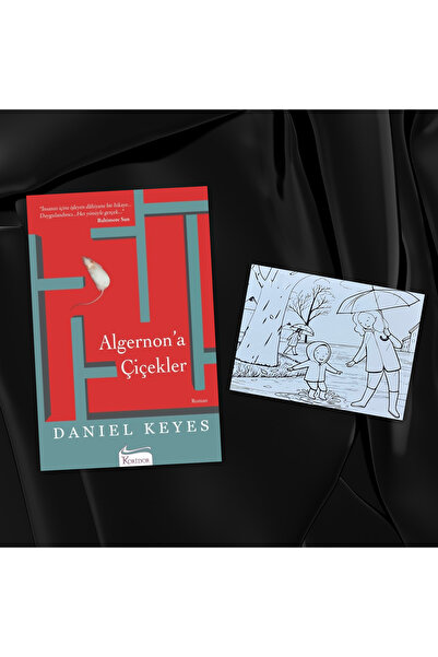 Koridor Yayıncılık Algernon'a Çiçekler / Kartpostal Boyama Hediyeli