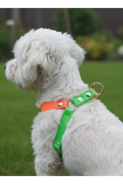 balkonda Dog Collar Small and Mini Breed Adjustable 1.5cm Width Column Cord Green & Orange